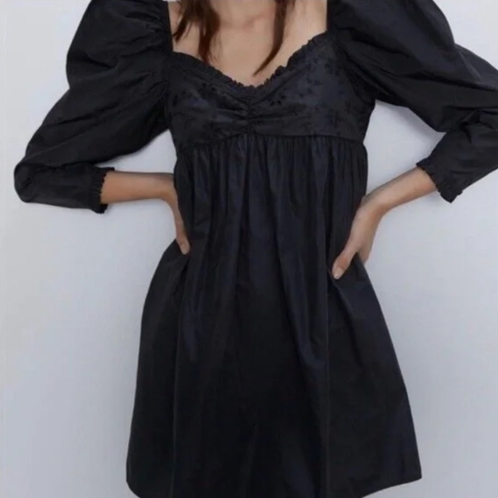 Zara Embroidered Puff Long Sleeve Baby Doll Mini Dress M